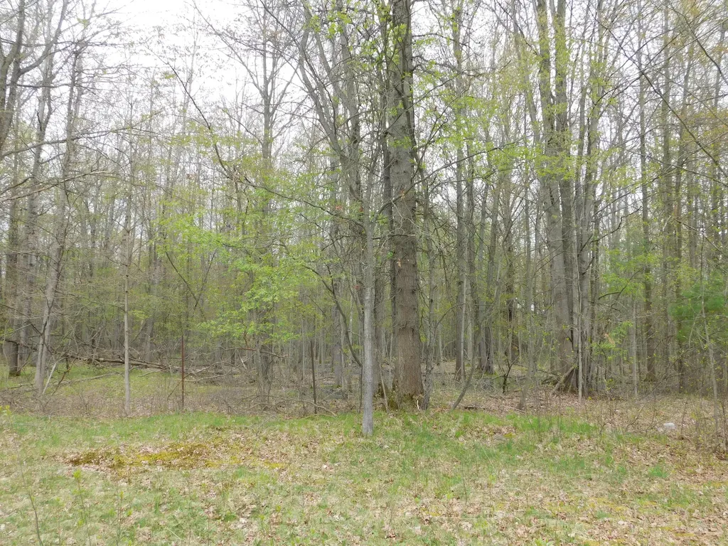 14540 Schroeder Road Brant Township MI 48655