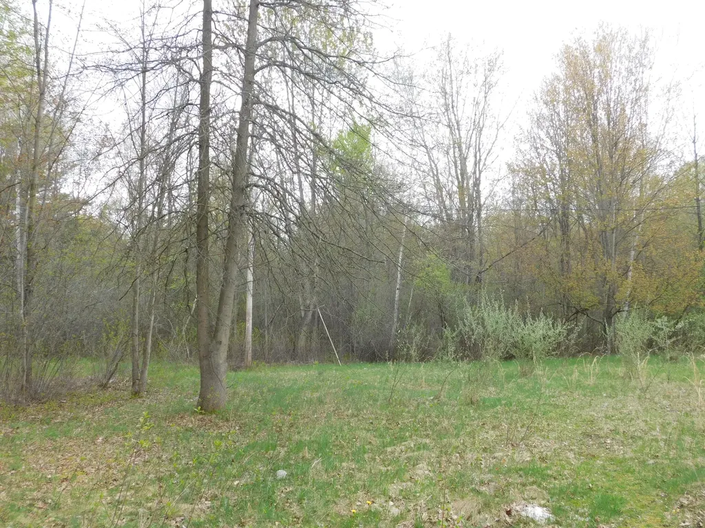 14540 Schroeder Road Brant Township MI 48655