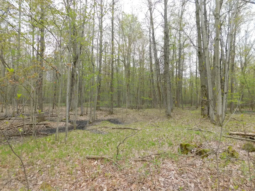 14540 Schroeder Road Brant Township MI 48655
