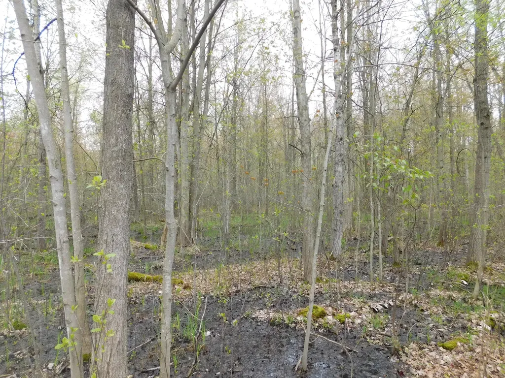 14540 Schroeder Road Brant Township MI 48655