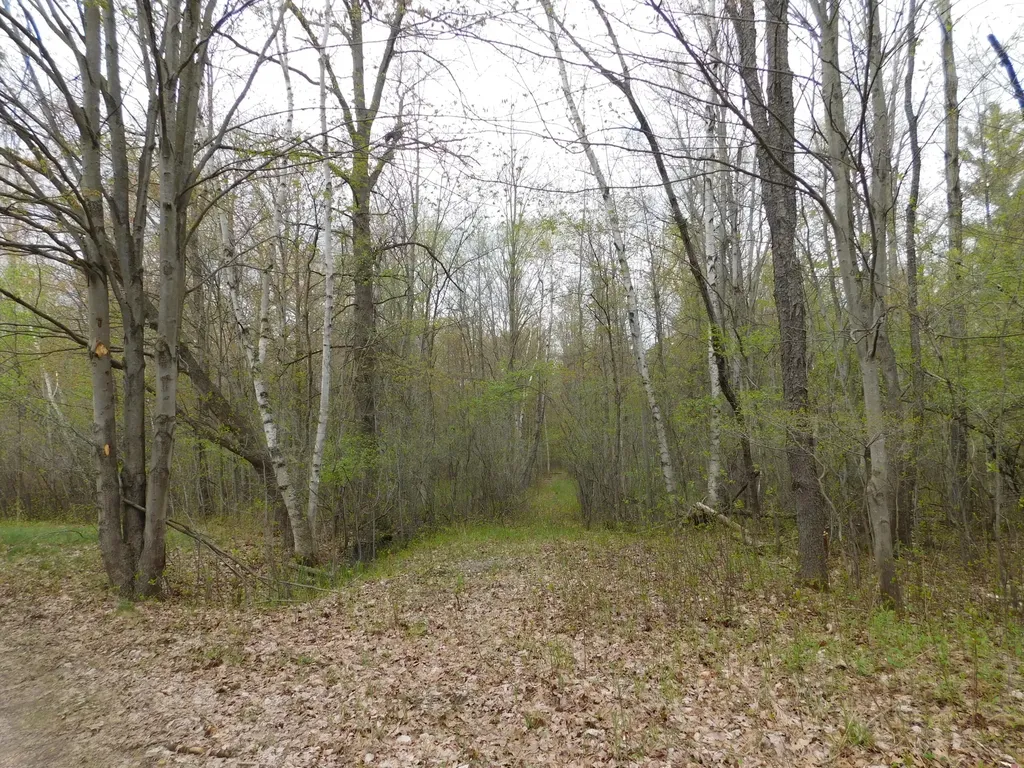 14540 Schroeder Road Brant Township MI 48655