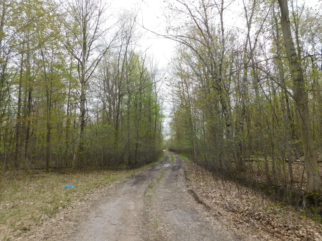 14540 Schroeder Road Brant Township MI 48655