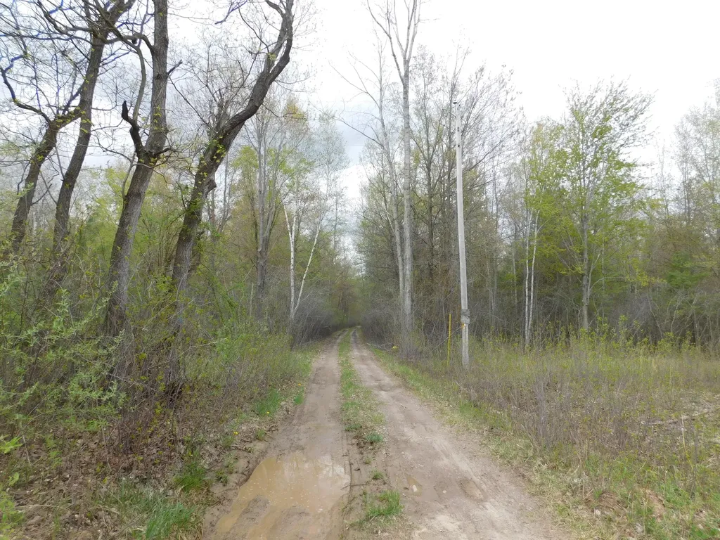 14540 Schroeder Road Brant Township MI 48655