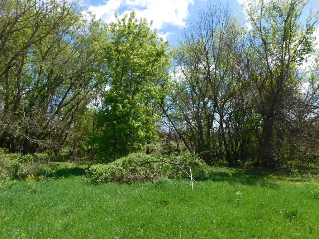 64277 Union Road Calvin Township MI 49095