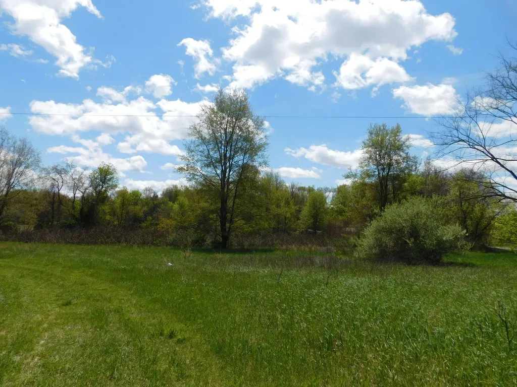 64277 Union Road Calvin Township MI 49095