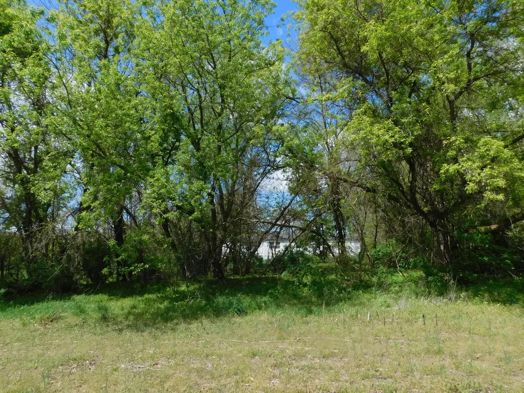 64277 Union Road Calvin Township MI 49095
