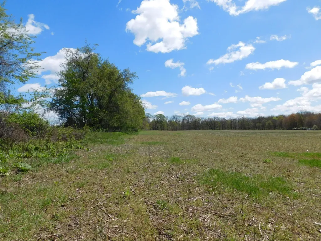 64277 Union Road Calvin Township MI 49095