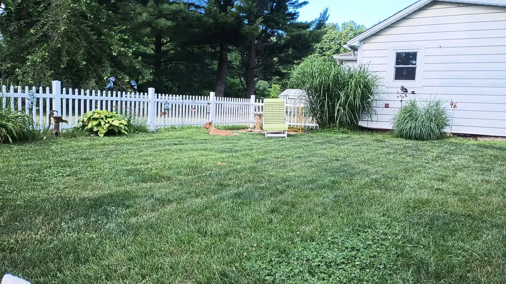 141 Sheldon Street Climax Village MI 49034