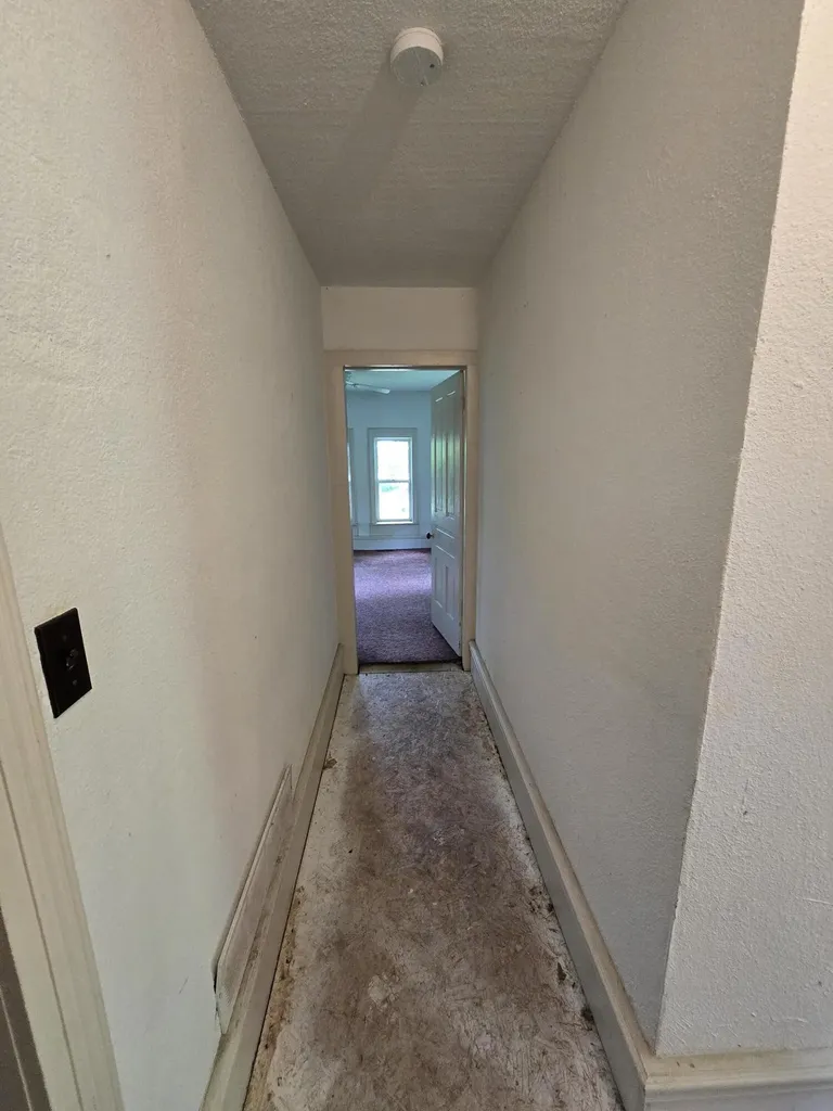 8733 S Cochran Avenue Charlotte City MI 49076