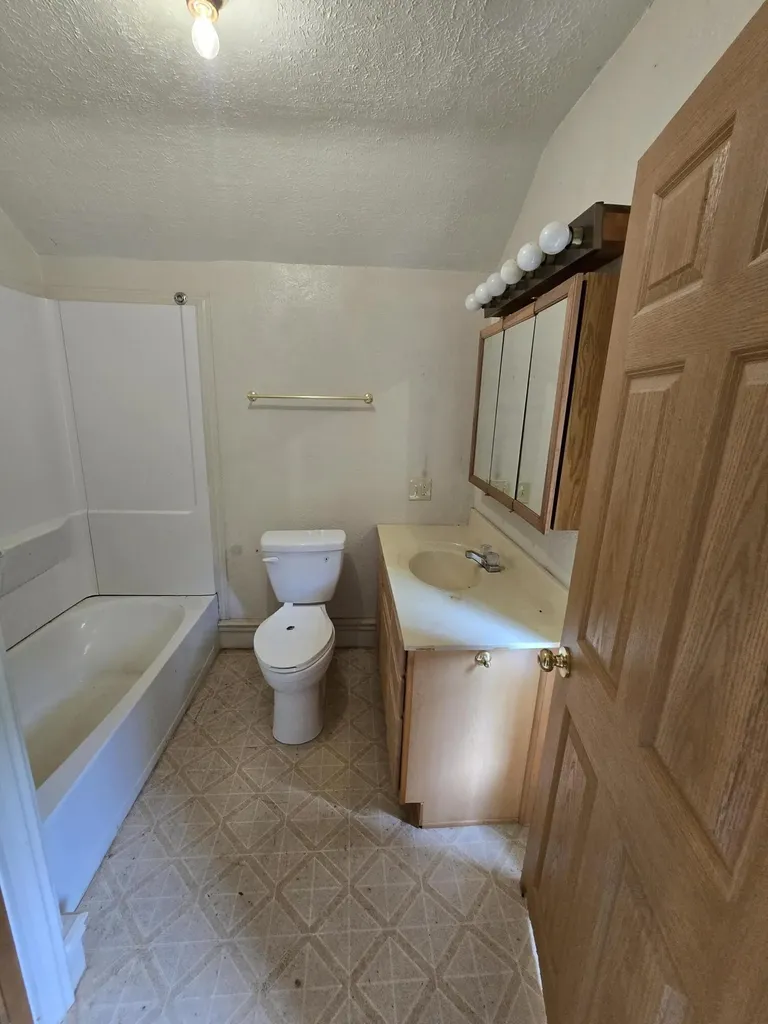 8733 S Cochran Avenue Charlotte City MI 49076