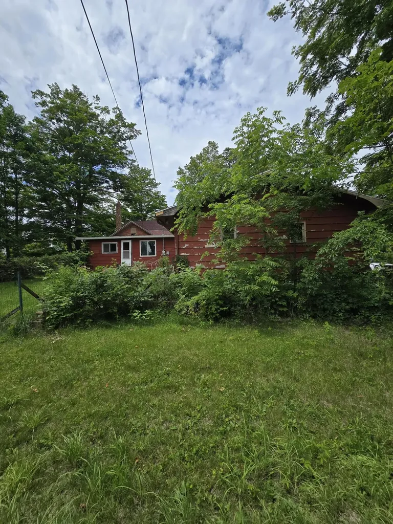 8733 S Cochran Avenue Charlotte City MI 49076