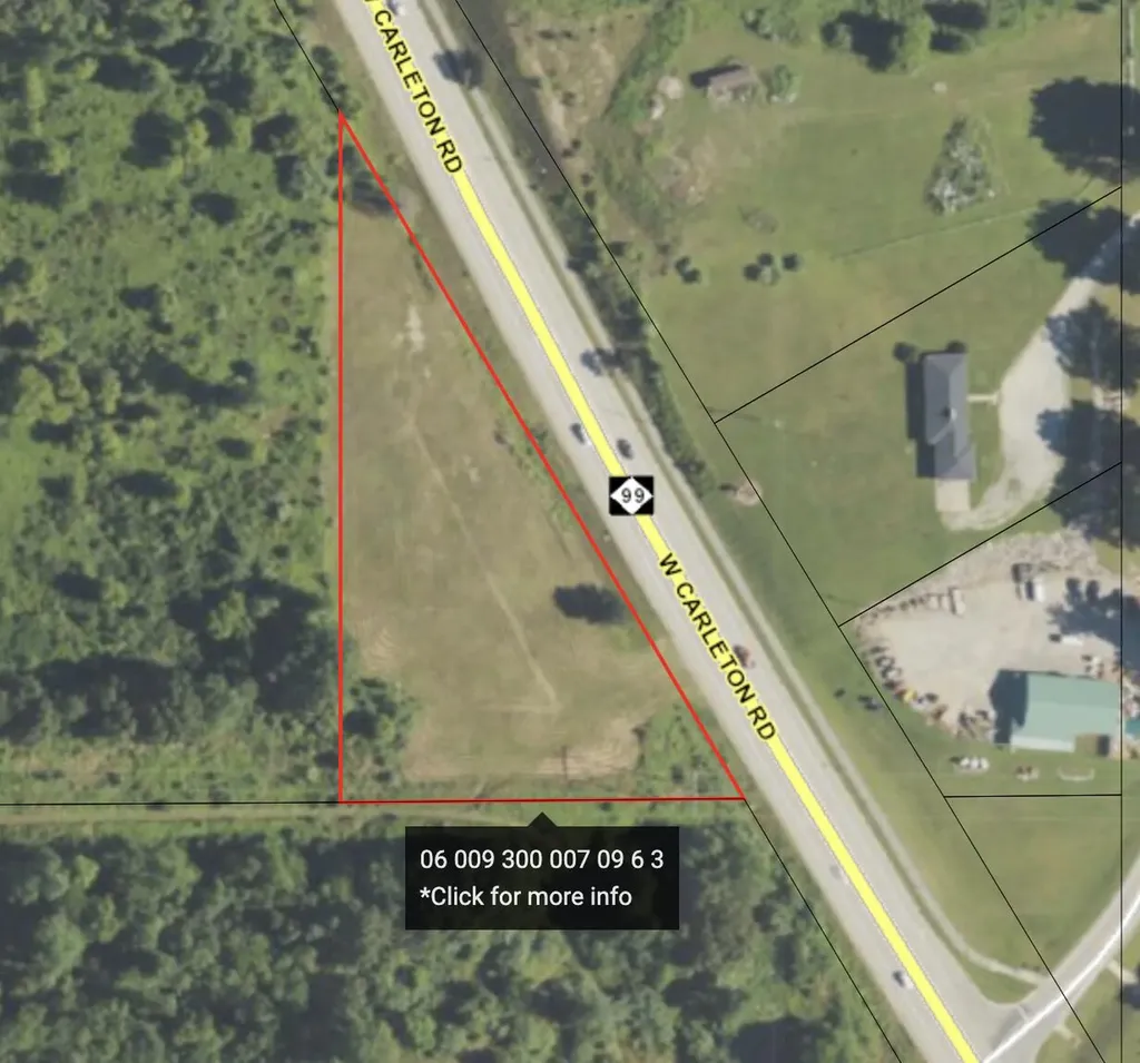 4134 W Carleton Road N Fayette Township MI 49250