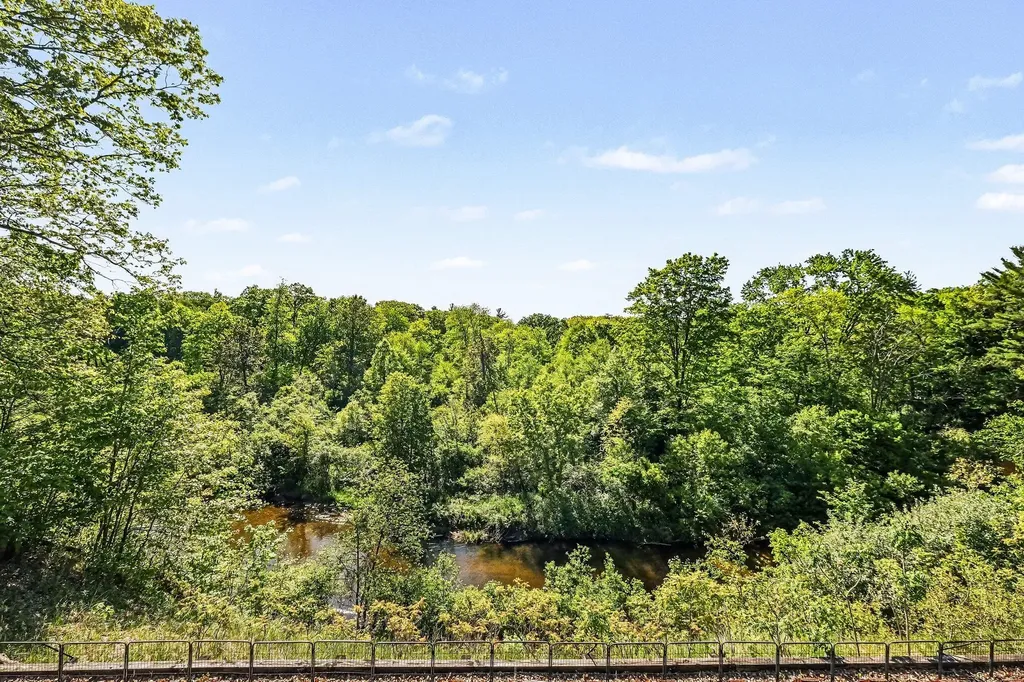 10835 Red Oak Ridge Reynolds Township MI 49329