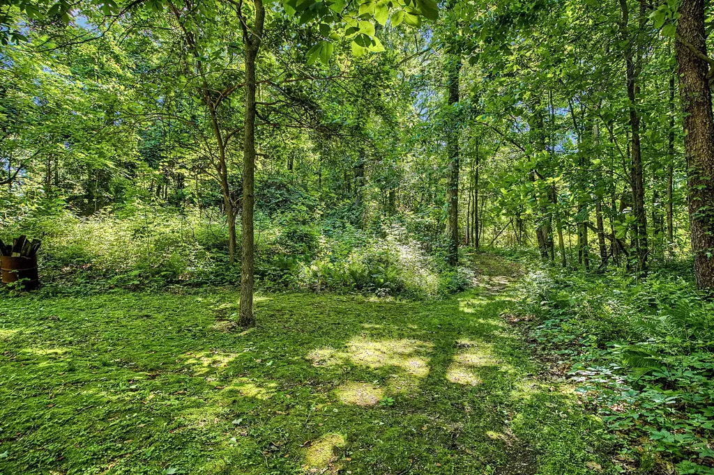 12017 Lilac Lane Johnstown Township MI 49050
