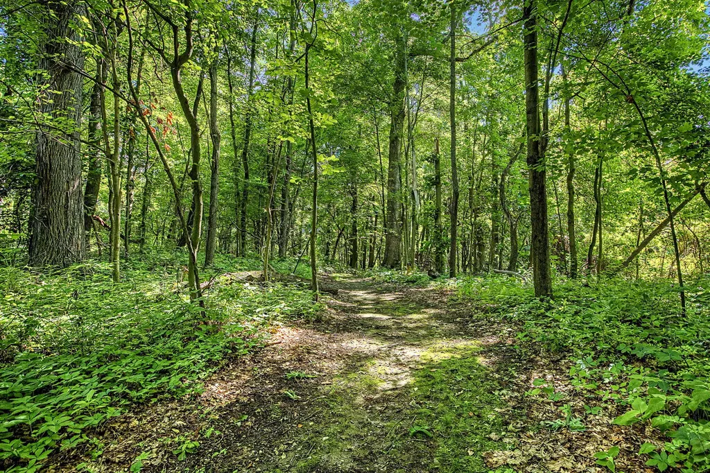 12017 Lilac Lane Johnstown Township MI 49050