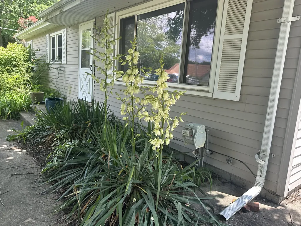 1560 Magnolia Street Comstock Charter Township MI 49048