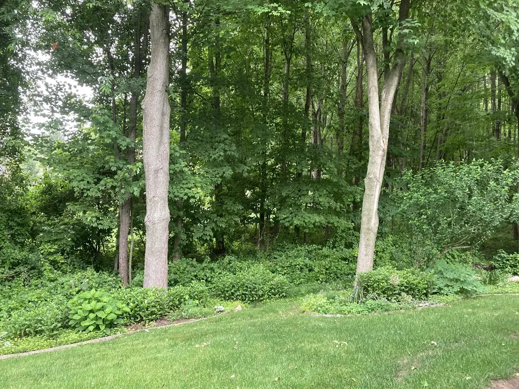 135 Rose Court Battle Creek City MI 49015