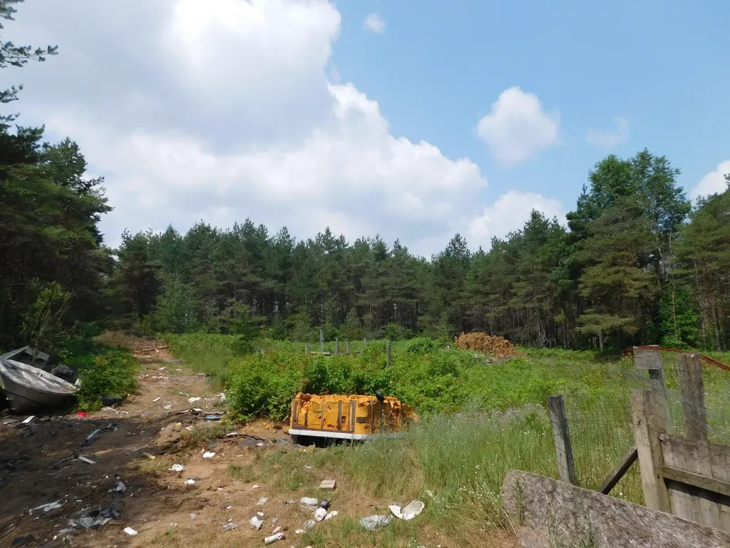 11880 Pine Cove Unknown City MI 49649