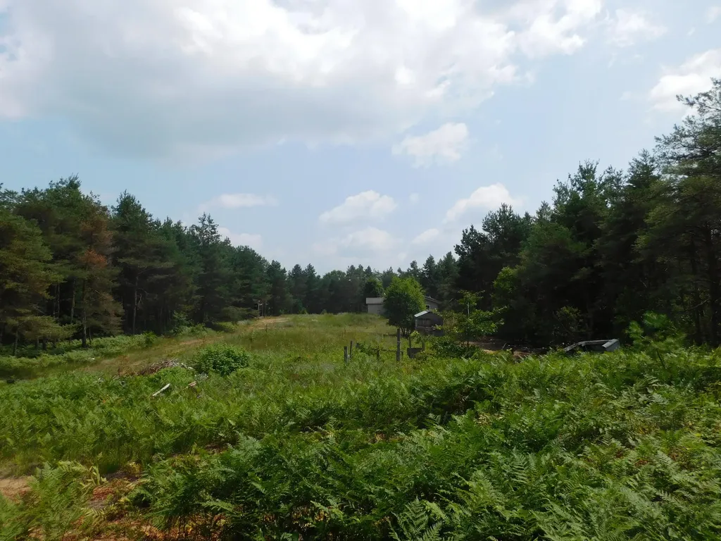 11880 Pine Cove Unknown City MI 49649