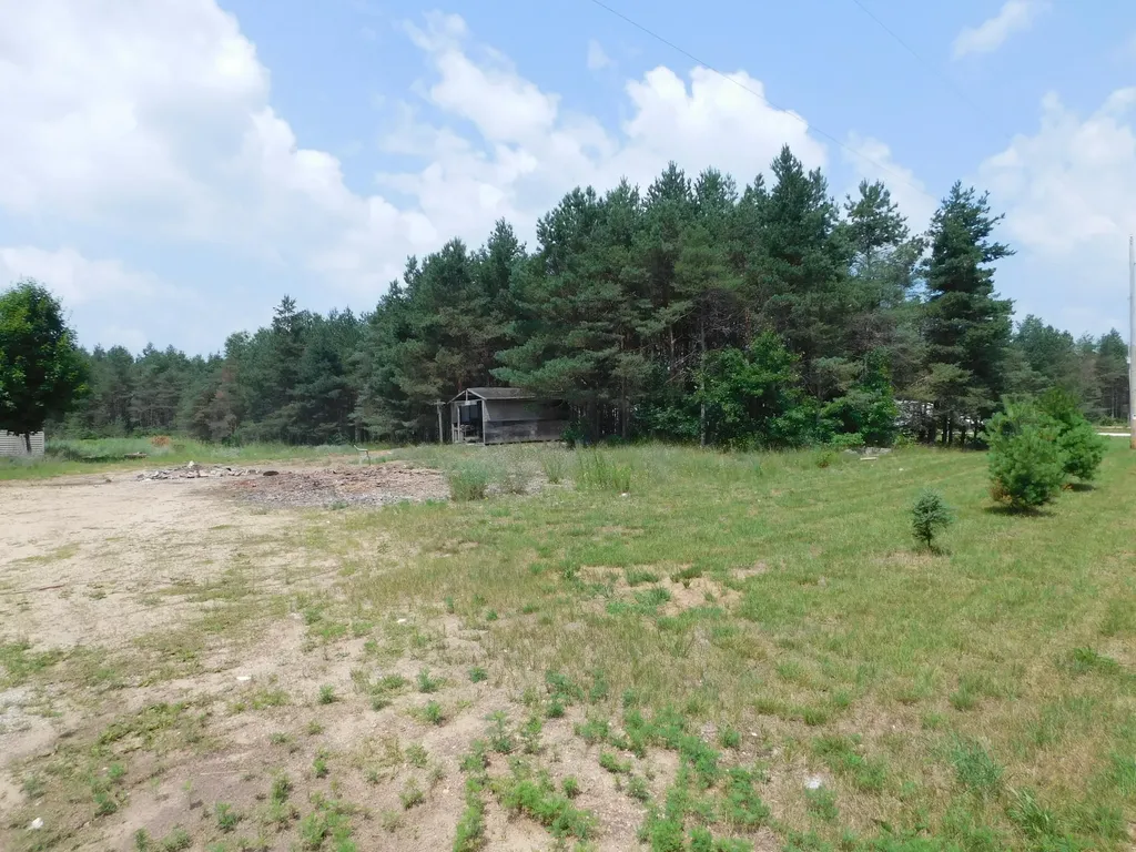 11880 Pine Cove Unknown City MI 49649