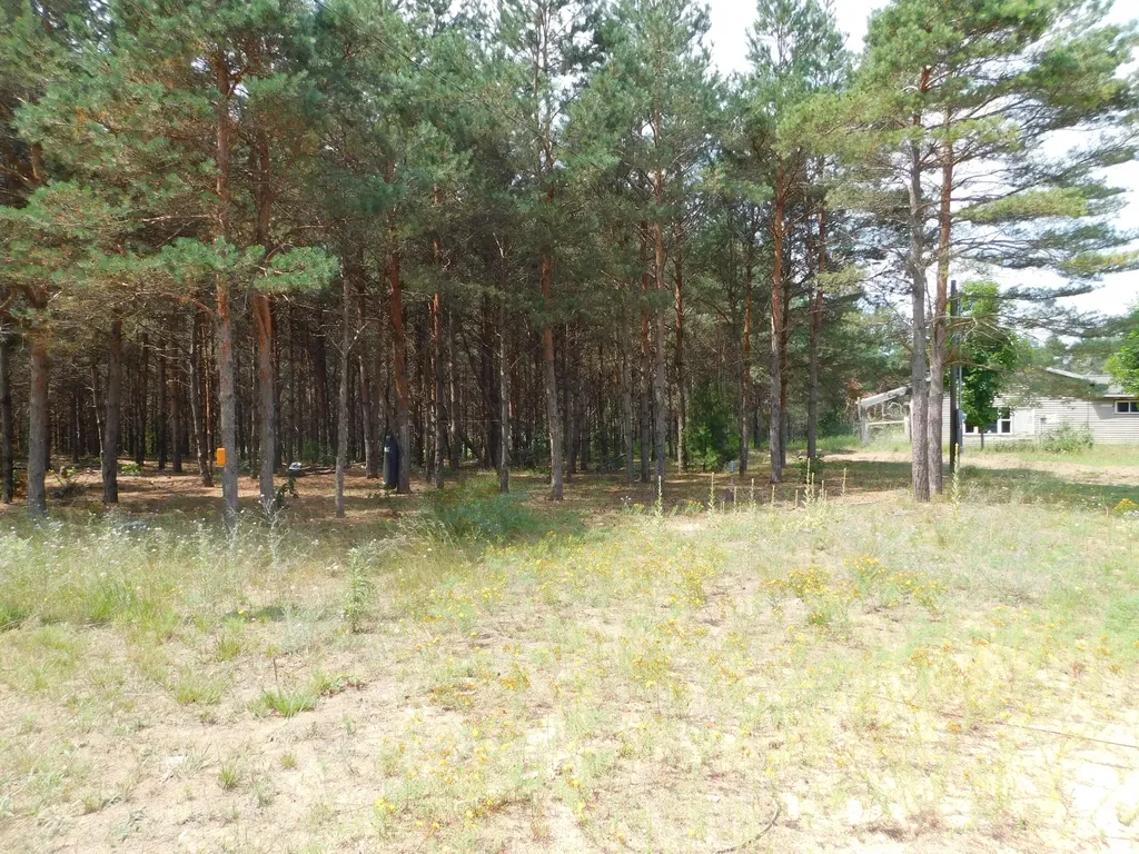 11880 Pine Cove Unknown City MI 49649