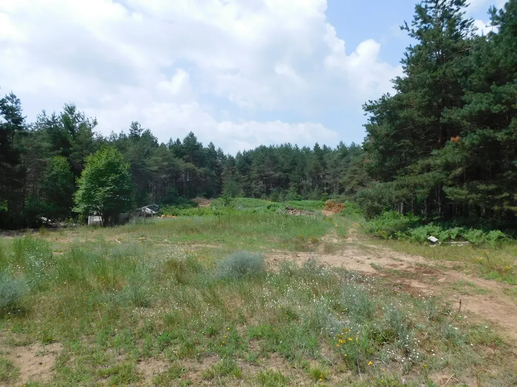 11880 Pine Cove Unknown City MI 49649