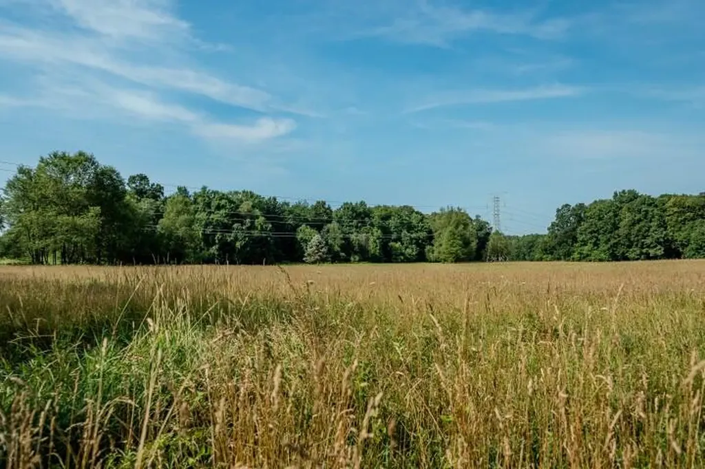9710 Campbell Lane Bellevue Township MI 49021