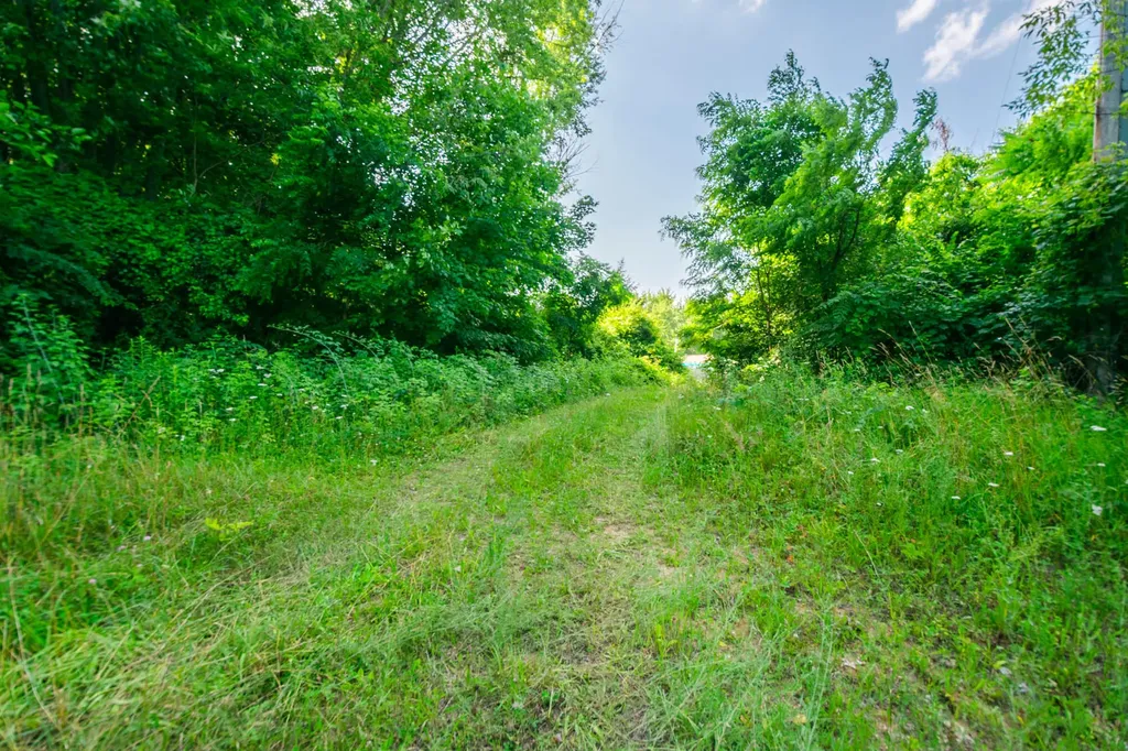 559 W Burr Oak Athens Village MI 49011