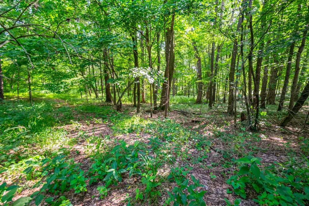 559 W Burr Oak Athens Village MI 49011