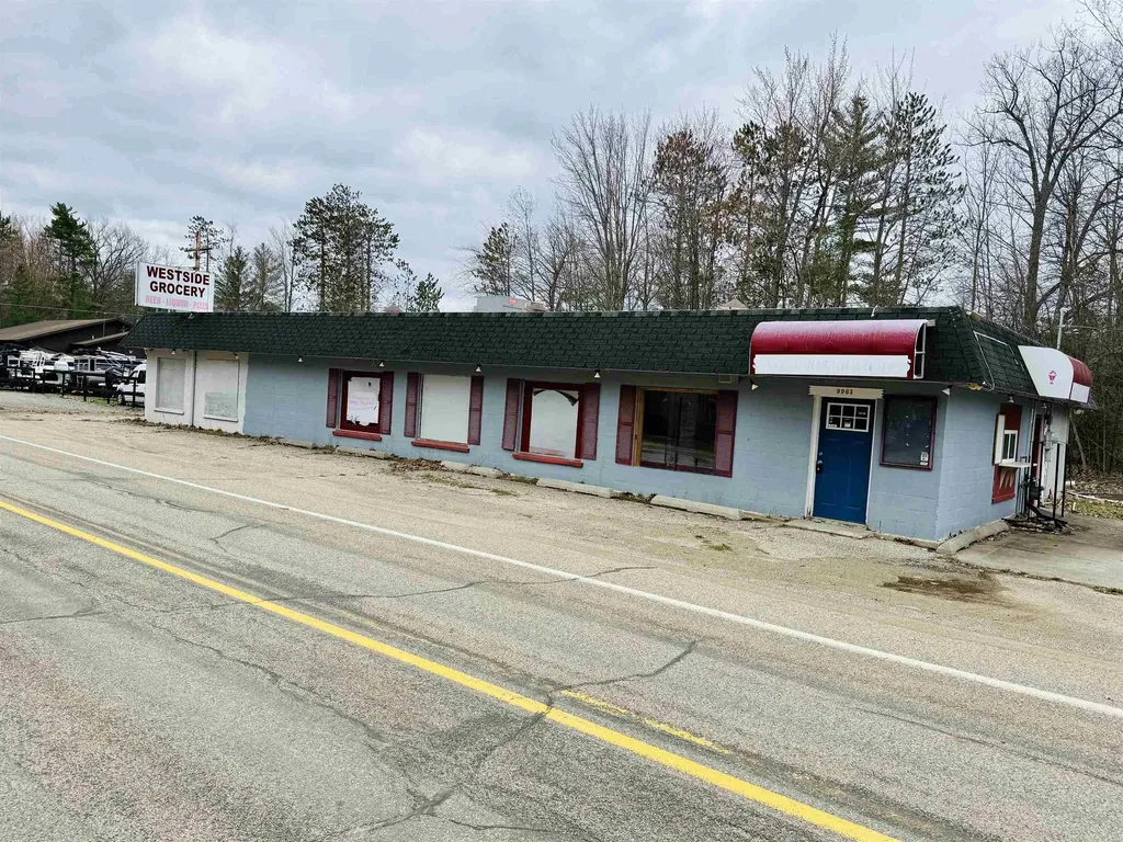 9963 W Higgins Drive Lyon Township MI 48653