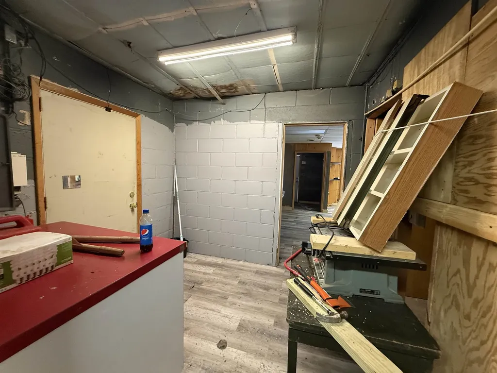 9963 W Higgins Drive Lyon Township MI 48653