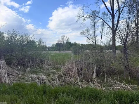 Vacant Land Tyrrell Road Bennington Township MI 48867