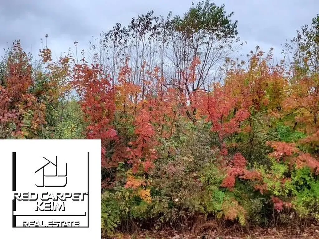 Irish Road Forest Township MI 48746