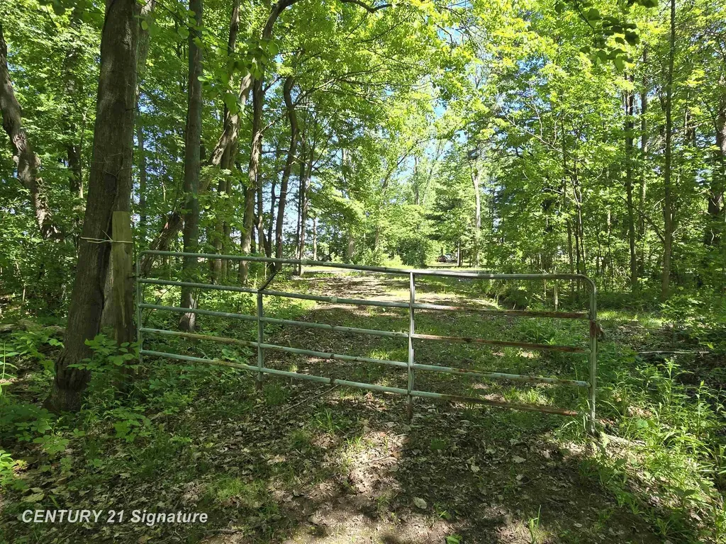 1162 E Farrand Road Thetford Township MI 48420