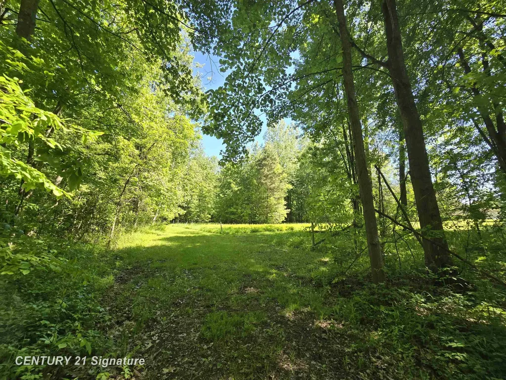 1162 E Farrand Road Thetford Township MI 48420