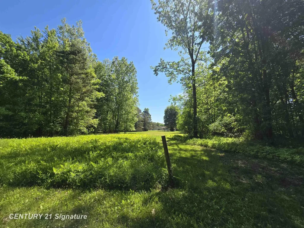 1162 E Farrand Road Thetford Township MI 48420