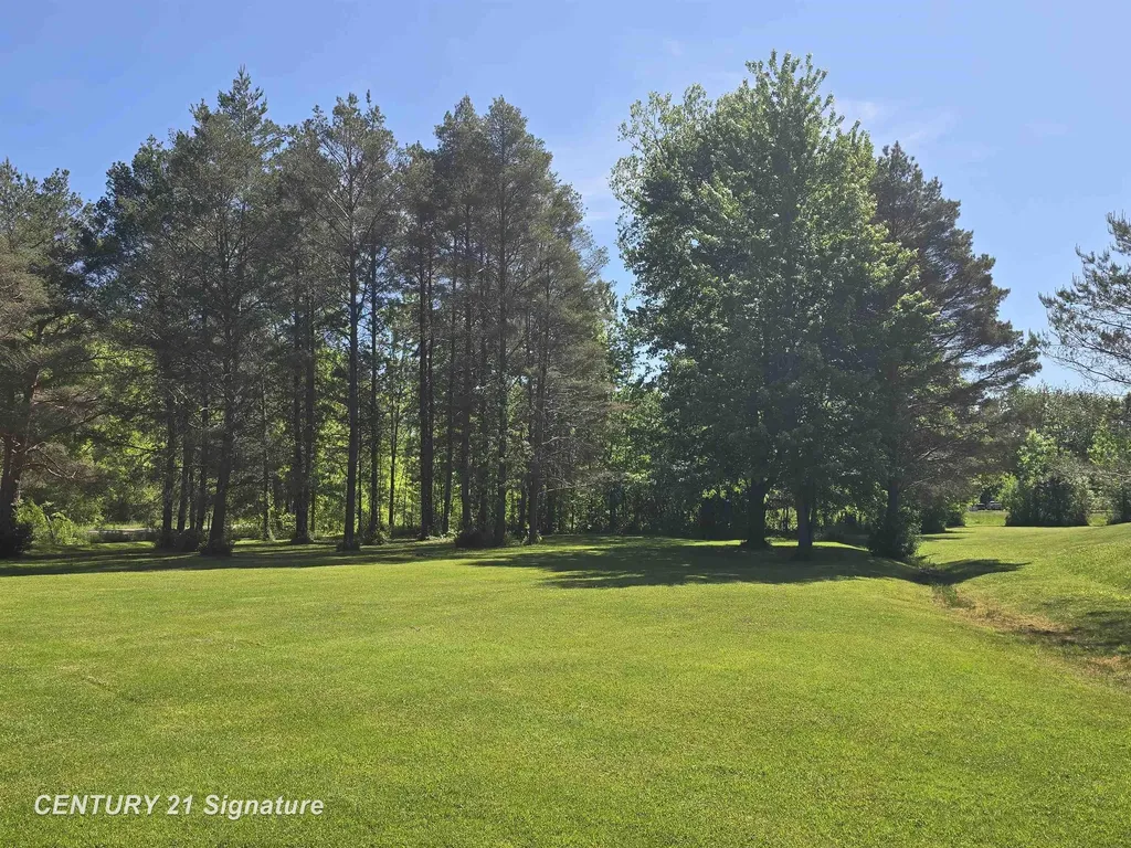 1162 E Farrand Road Thetford Township MI 48420