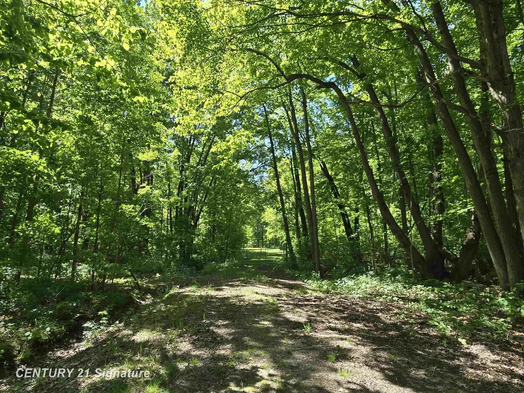 1162 E Farrand Road Thetford Township MI 48420