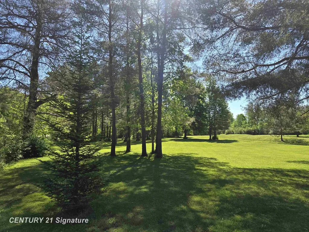 1162 E Farrand Road Thetford Township MI 48420
