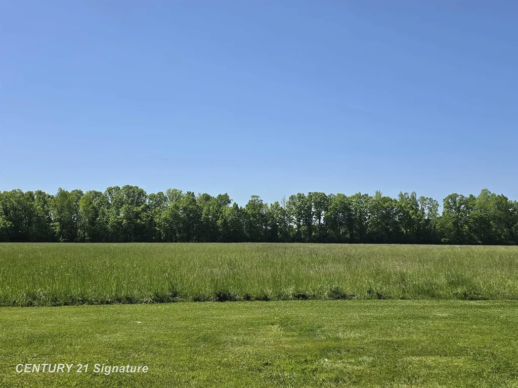 1162 E Farrand Road Thetford Township MI 48420
