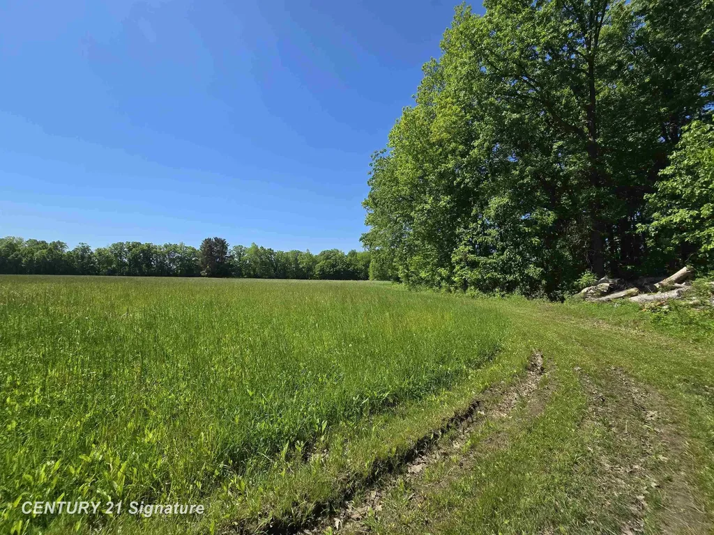 1162 E Farrand Road Thetford Township MI 48420