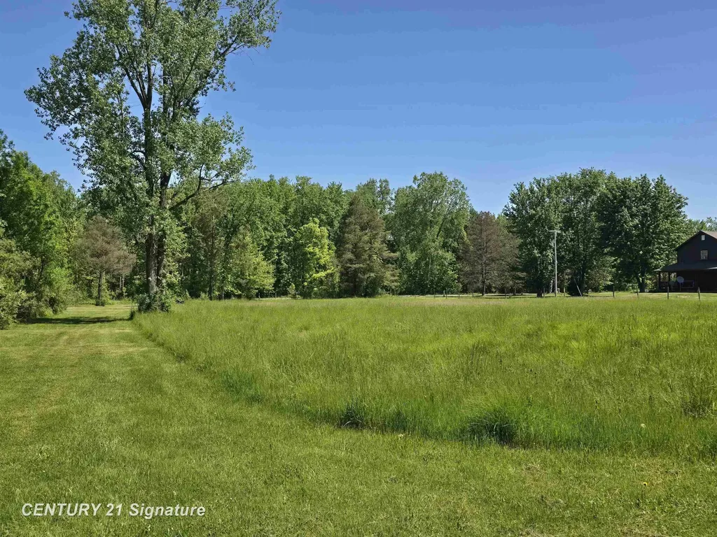 1162 E Farrand Road Thetford Township MI 48420