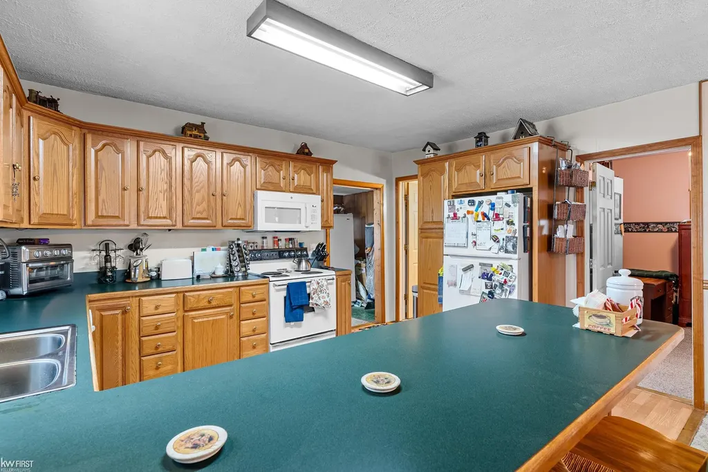 10528 Lake Shore Drive Tyrone Township MI 48430