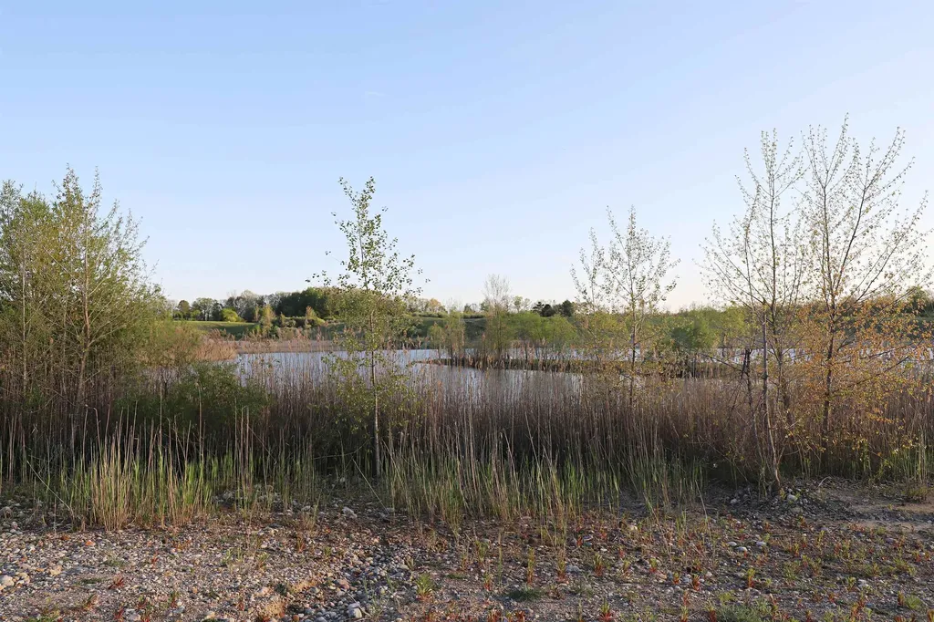 10241 N Mckinley Road Montrose Charter Township MI 48457