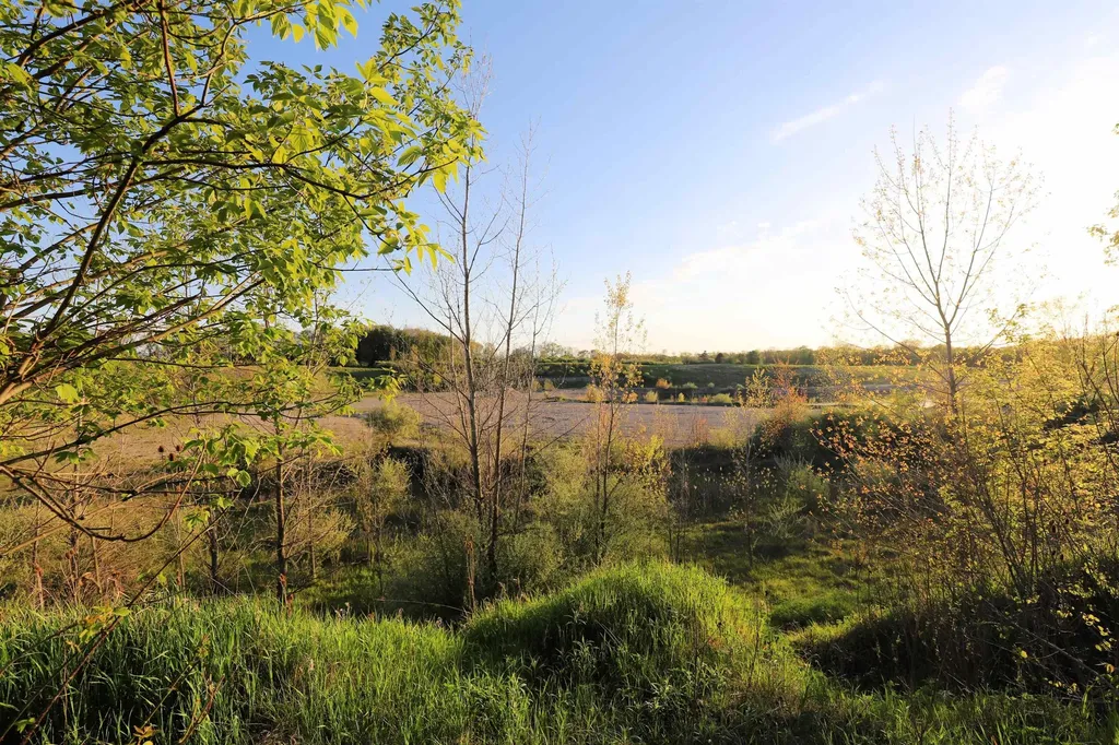 10241 N Mckinley Road Montrose Charter Township MI 48457