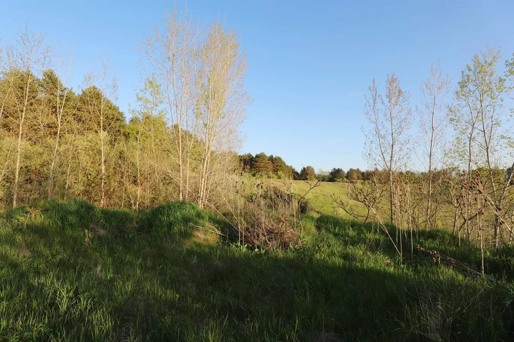 10241 N Mckinley Road Montrose Charter Township MI 48457