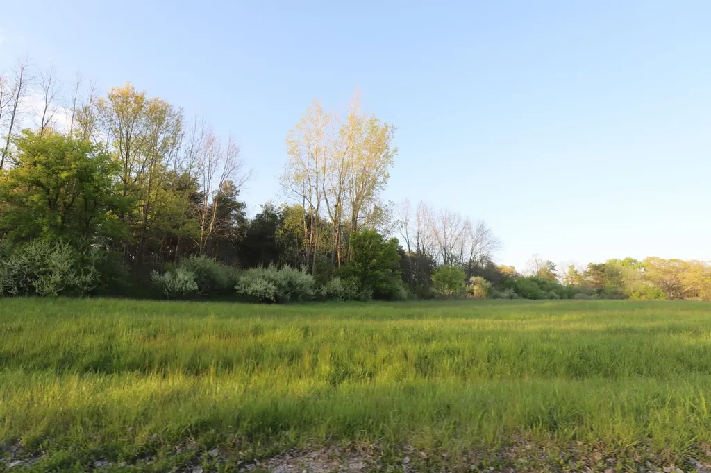 10241 N Mckinley Road Montrose Charter Township MI 48457