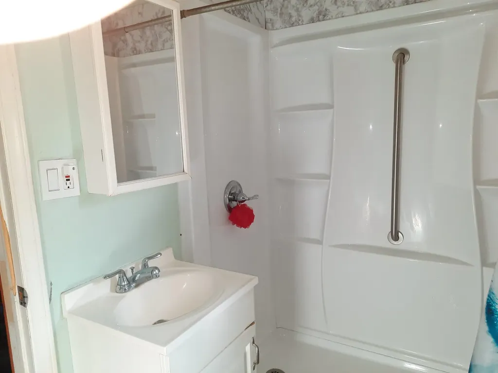 204 W Pine Street Elsie Village MI 48831