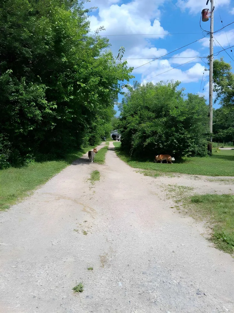 12160 Neff Road Vienna Charter Township MI 48420