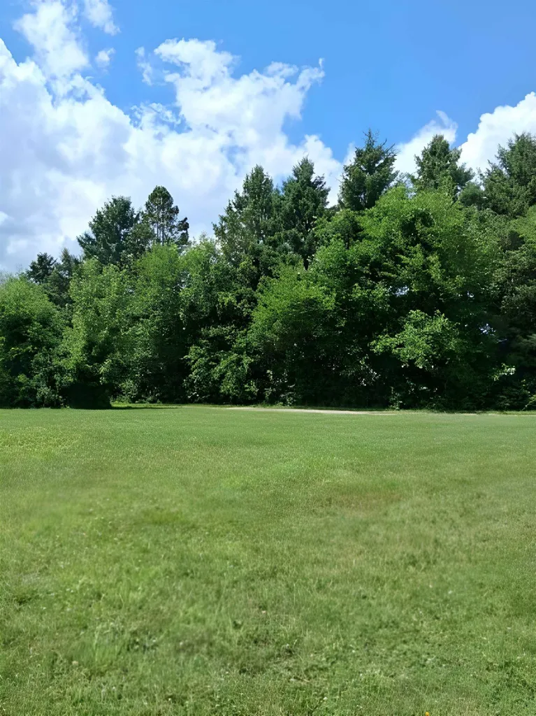 12160 Neff Road Vienna Charter Township MI 48420